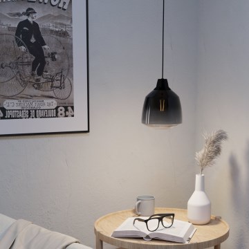 Eglo - Lustr na lanku 1xE27/40W/230V