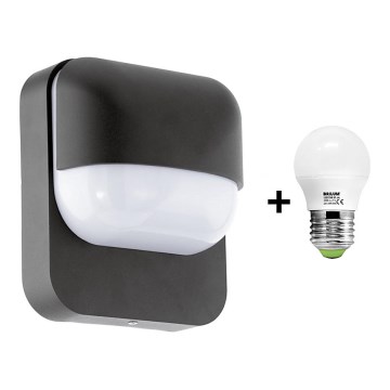 Eglo Starlux 78595 - LED Venkovní nástěnné svítidlo RECCO 1xE27/6W/230V 3000K IP44 Eglo Starlux 78595 - LED Venkovní nástěnné svítidlo RECCO 1xE27/6W/230V 3000K IP44