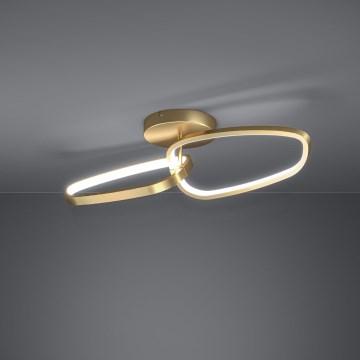 Eglo Stars of Light - LED Stmívatelný přisazený lustr LED/25W/230V 3000K zlatá