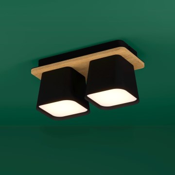 Eglo Stars of Light - Stropní svítidlo 2xE27/40W/230V černá/hnědá