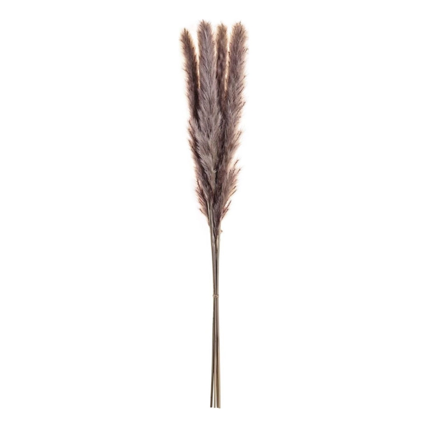 Eglo - Sušená květina 60 cm fialová
