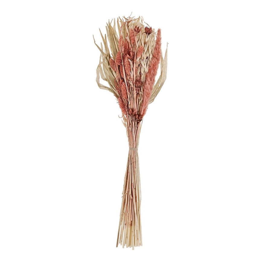 Eglo - Sušená květina 60 cm oranžová