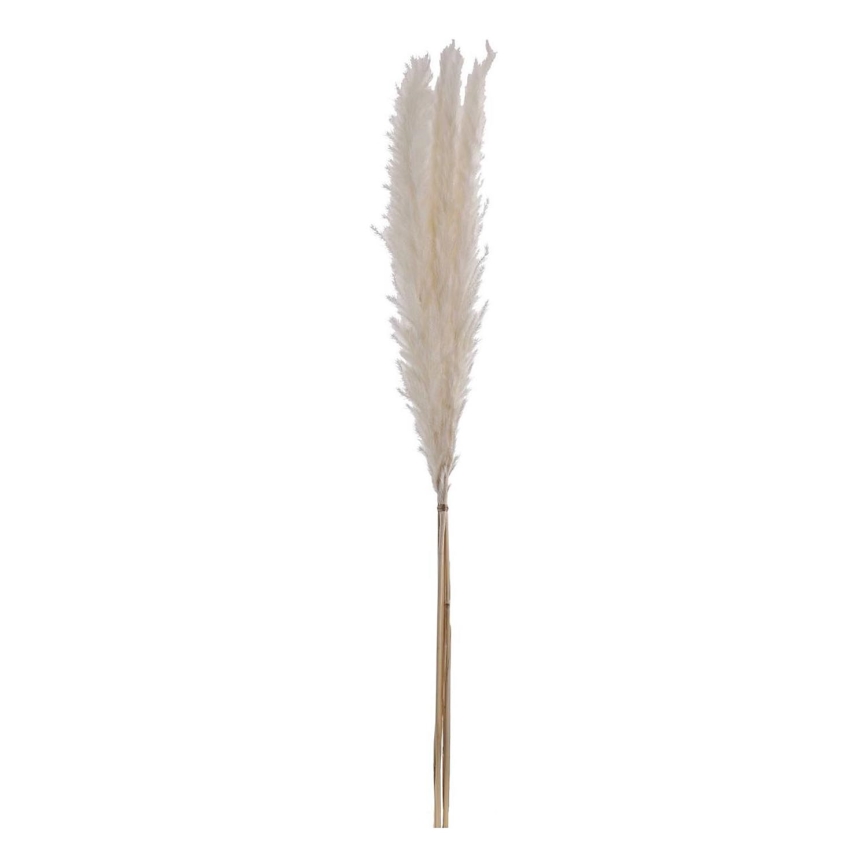 Eglo - Sušená květina 70 cm bílá