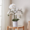 Eglo - Umělá rostlina v květináči 65x50 cm orchidej