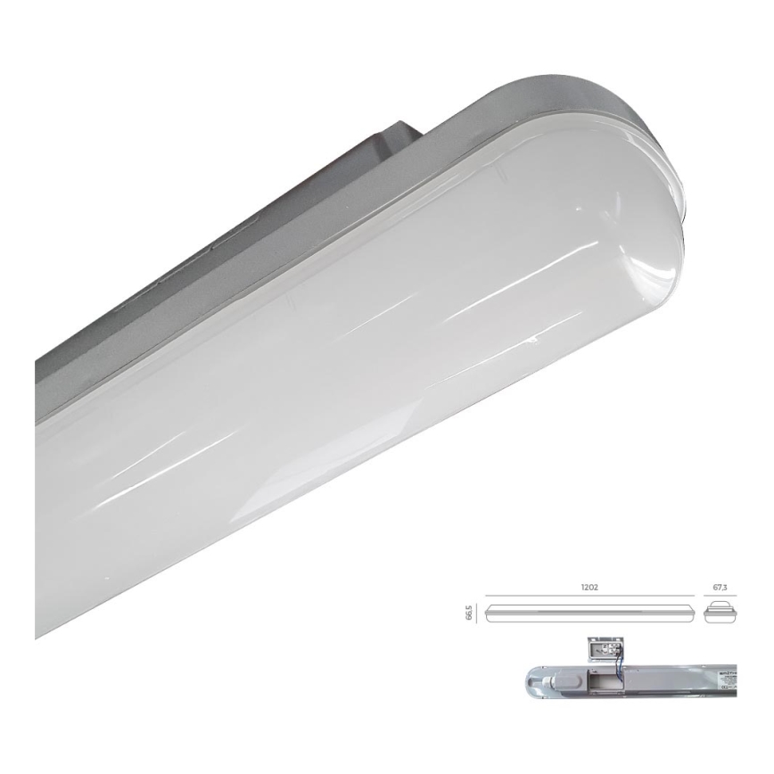 Emithor 31602 - LED Technické svítidlo ELMINA LED/36W/230V IP65