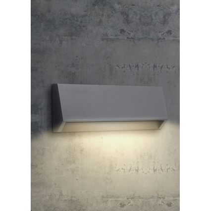 EMITHOR 48330 - LED Venkovní nástěnné svítidlo RADIX LED/2,9W/230V IP65