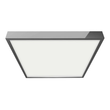 Emithor 49029 - LED Koupelnové stropní svítidlo LENYS 1xLED/12W/230V IP44 Emithor 49029 - LED Koupelnové stropní svítidlo LENYS 1xLED/12W/230V IP44