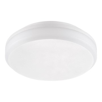 Emithor 63206 - LED Technické stropní svítidlo SURFACE LED/20W/230V IP65