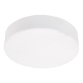Emithor 63213 - LED Stropní svítidlo SURFACE LED/20W/230V