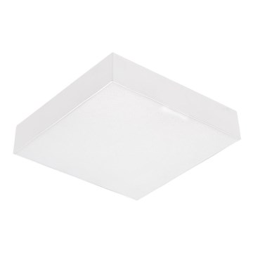 Emithor 63215 - LED Stropní svítidlo SURFACE LED/10W/230V