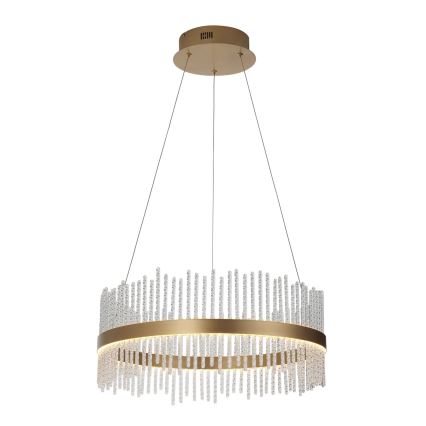 Endon 107671 - LED Stmívatelný lustr na lanku ADRIEL LED/41W/230V 3000K pr. 51 cm zlatá/čirá