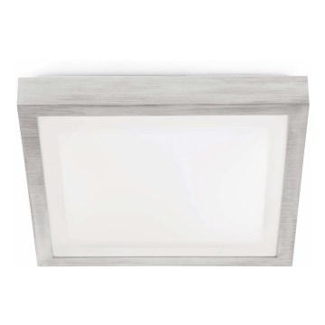 FARO 62983 - Koupelnové stropní svítidlo TOLA 1 1xE27/20W/230V FARO 62983 - Koupelnové stropní svítidlo TOLA 1 1xE27/20W/230V