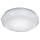 Fischer & Honsel 21576 - LED Stmívatelné stropní svítidlo FACET 1xLED/18W/230V