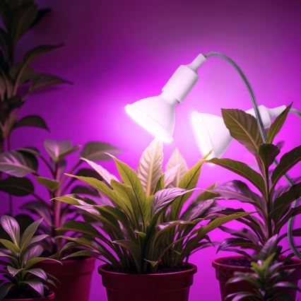 Flexibilní stolní lampa s klipem pro pěstování rostlin PLANTY 2xE27/30W/230V bílá