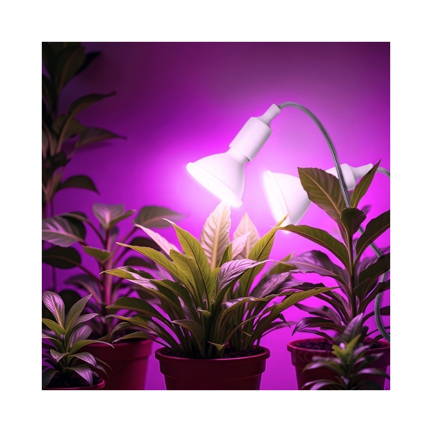 Flexibilní stolní lampa s klipem pro pěstování rostlin PLANTY 2xE27/30W/230V bílá