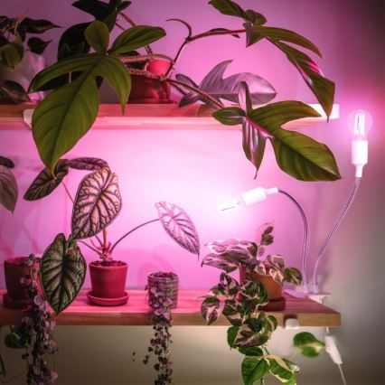 Flexibilní stolní lampa s klipem pro pěstování rostlin PLANTY 2xE27/30W/230V bílá