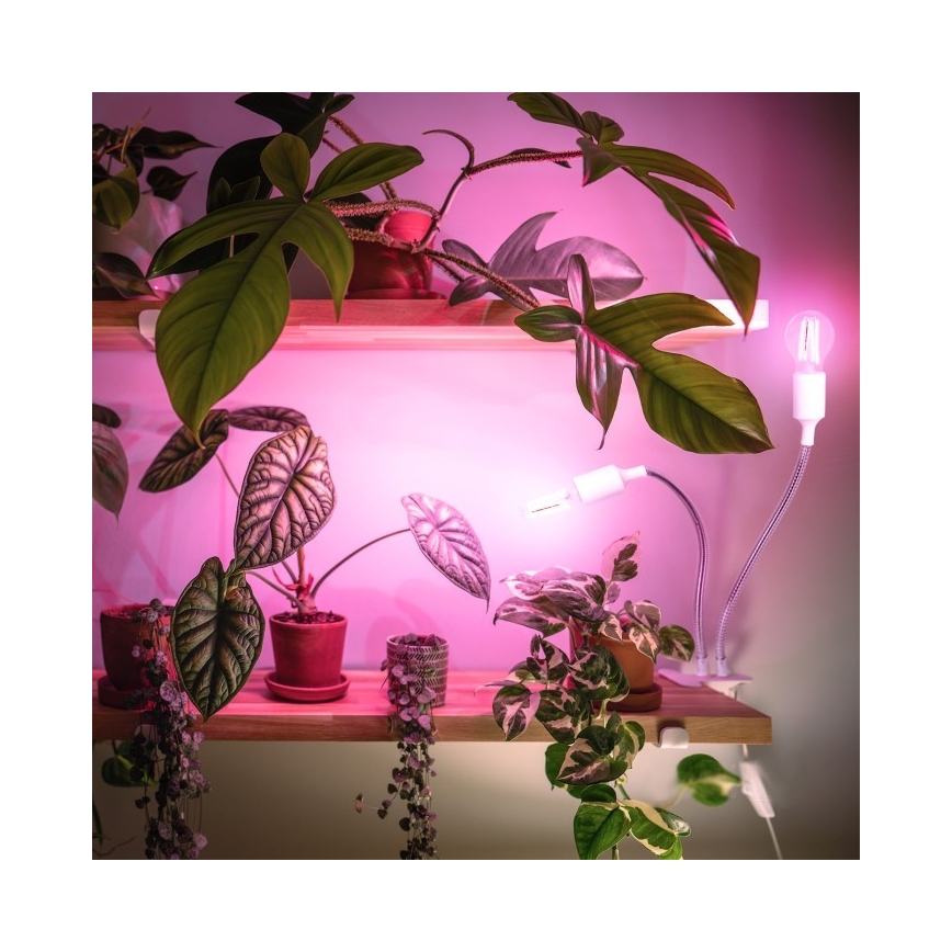 Flexibilní stolní lampa s klipem pro pěstování rostlin PLANTY 2xE27/30W/230V bílá