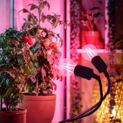 Flexibilní stolní lampa s klipem pro pěstování rostlin PLANTY 2xE27/30W/230V černá
