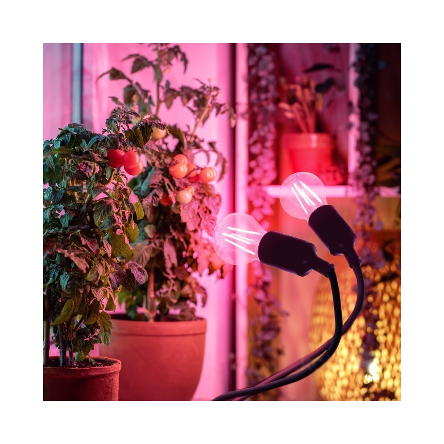 Flexibilní stolní lampa s klipem pro pěstování rostlin PLANTY 2xE27/30W/230V černá