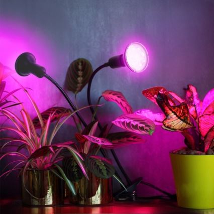 Flexibilní stolní lampa s klipem pro pěstování rostlin PLANTY 2xE27/30W/230V černá
