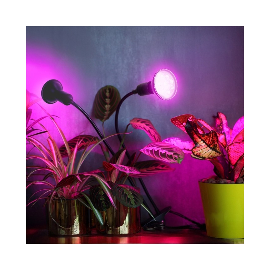Flexibilní stolní lampa s klipem pro pěstování rostlin PLANTY 2xE27/30W/230V černá