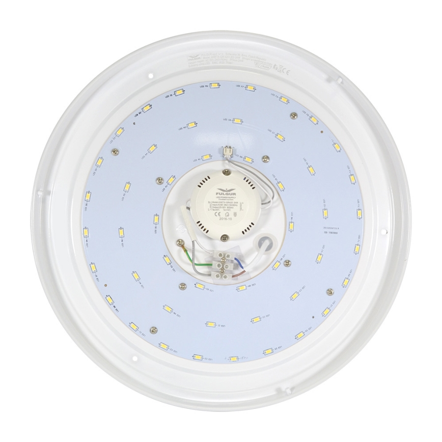 Fulgur 24183 - LED Stropní svítidlo ANETA GR LED/24W/230V 4000K