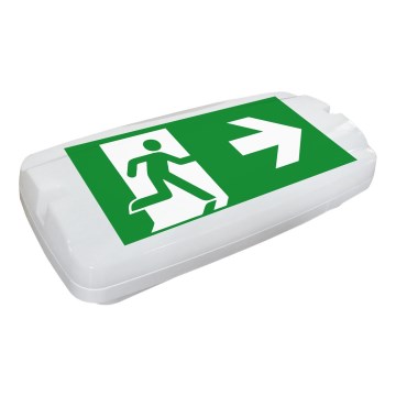 Fulgur 26201 - LED Nouzové svítidlo SAFEBOY LED/6W/230V IP65 6500K