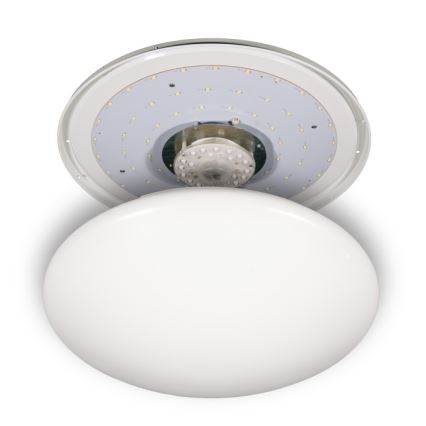 Fulgur s-24465 - LED Stropní svítidlo ANETA DUAL LED/36W/230V + LED/10W 4000K pr. 50 cm