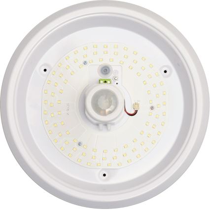 Fulgur s-39669 - LED Stropní svítidlo se senzorem pohybu a soumraku DARINA LED/16W/230V pr. 29 cm