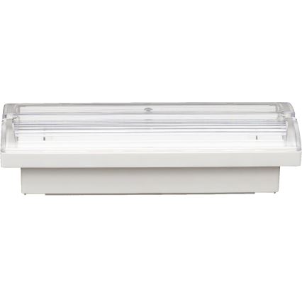 Fulgur s-43043 - LED Nouzové svítidlo FIWA LED/230V 1500 mAh IP65