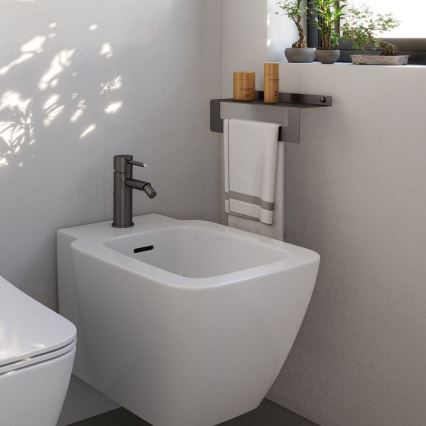 Gedy - Polička s věšákem na ručníky CLEO 50 cm metalicky šedá