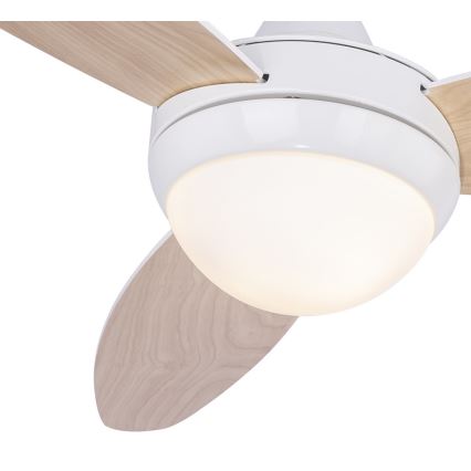 Globo - Stropní ventilátor 2xE14/40W/230V + dálkové ovládání
