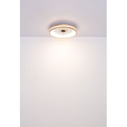 Globo - LED Stmívatelné stropní svítidlo s ventilátorem LED/30W/230V 2700-6500K hnědá + dálkové ovládání