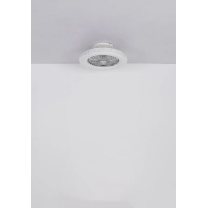 Globo - LED Stmívatelný stropní ventilátor LED/40W/230V 3000-6500K + dálkové ovládání