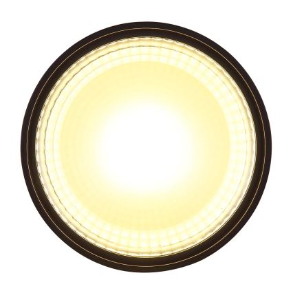 Globo - LED Stropní svítidlo LED/12W/230V 3000K