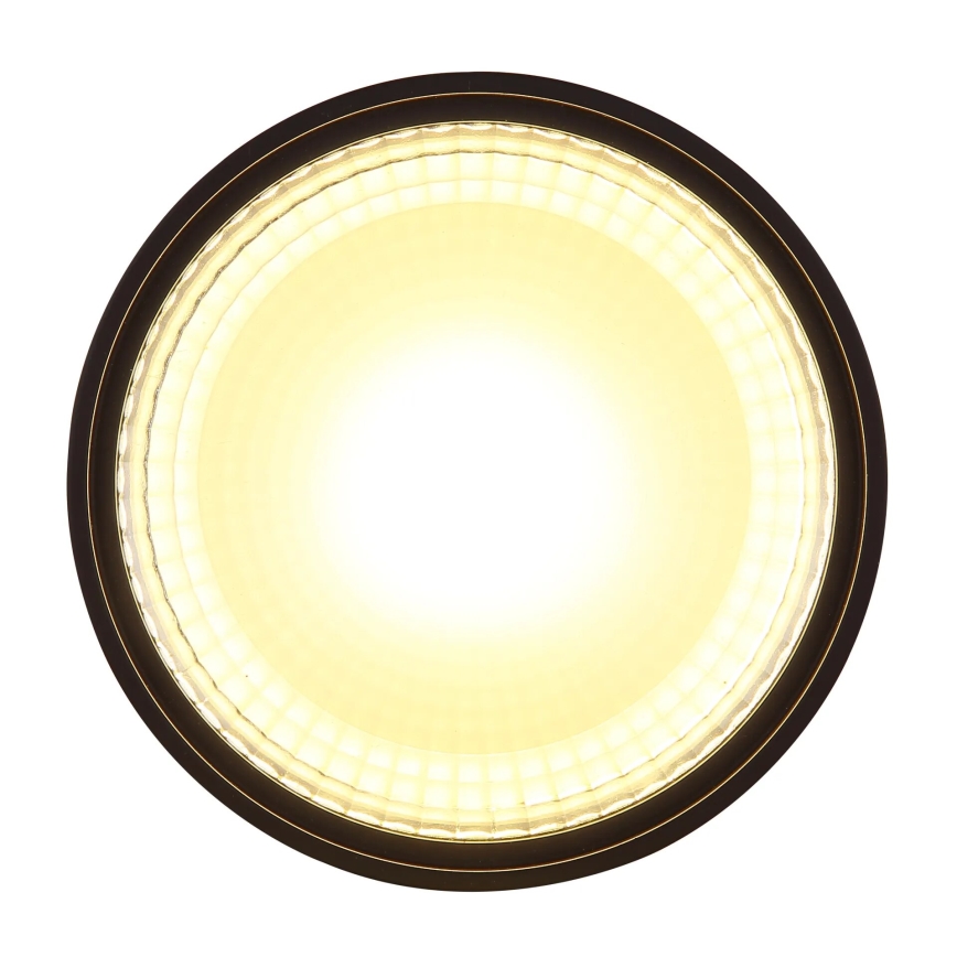 Globo - LED Stropní svítidlo LED/12W/230V 3000K