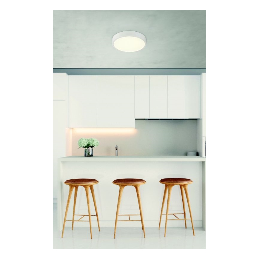 Globo - LED Stmívatelné stropní svítidlo LED/22W/230V