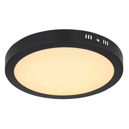 Globo - LED Stropní svítidlo LED/22W/230V