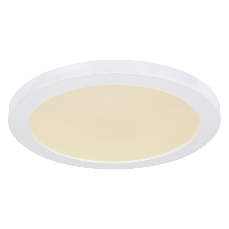 Globo - LED Stropní svítidlo LED/24W/230V 3000/4000/6500K bílá