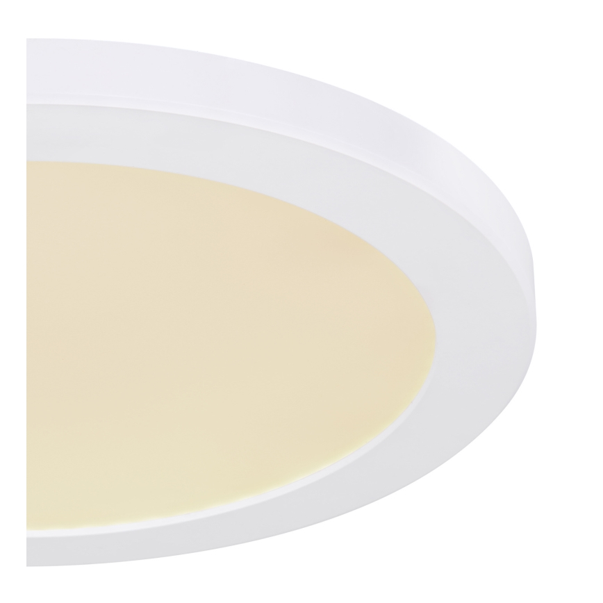 Globo - LED Stropní svítidlo LED/24W/230V 3000/4000/6500K bílá
