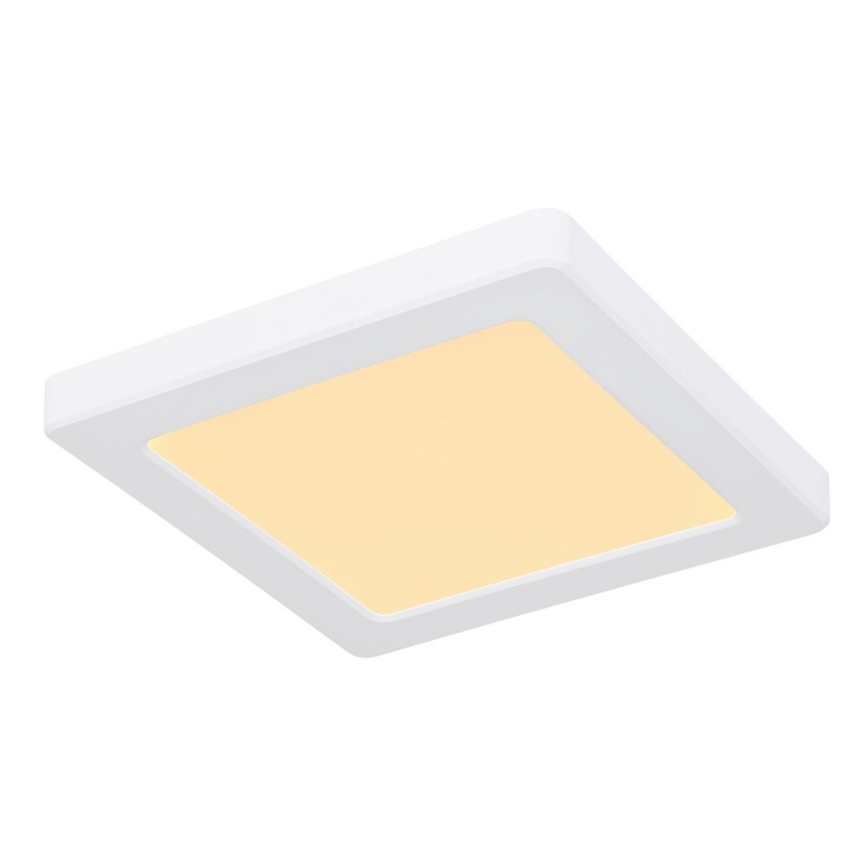 Globo - LED Stropní svítidlo LED/12W/230V 3000/4000/6500K bílá