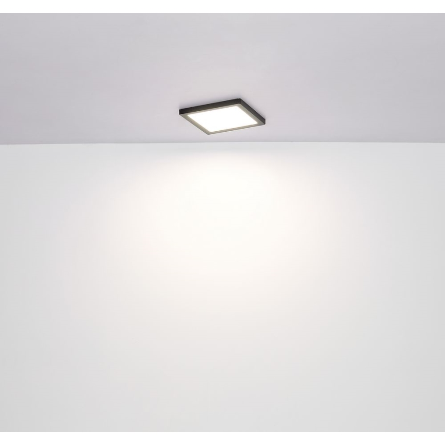 Globo - LED Stropní svítidlo LED/18W/230V 3000/4000/6500K černá