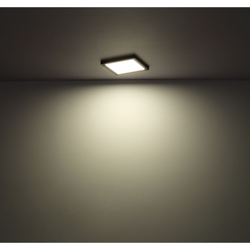 Globo - LED Stropní svítidlo LED/18W/230V 3000/4000/6500K bílá