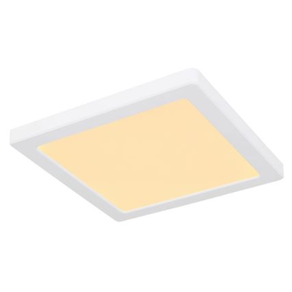 Globo - LED Stropní svítidlo LED/18W/230V 3000/4000/6500K bílá