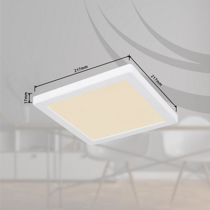 Globo - LED Stropní svítidlo LED/18W/230V 3000/4000/6500K bílá