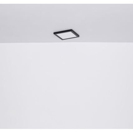 Globo - LED Stropní svítidlo LED/24W/230V 3000/4000/6500K černá
