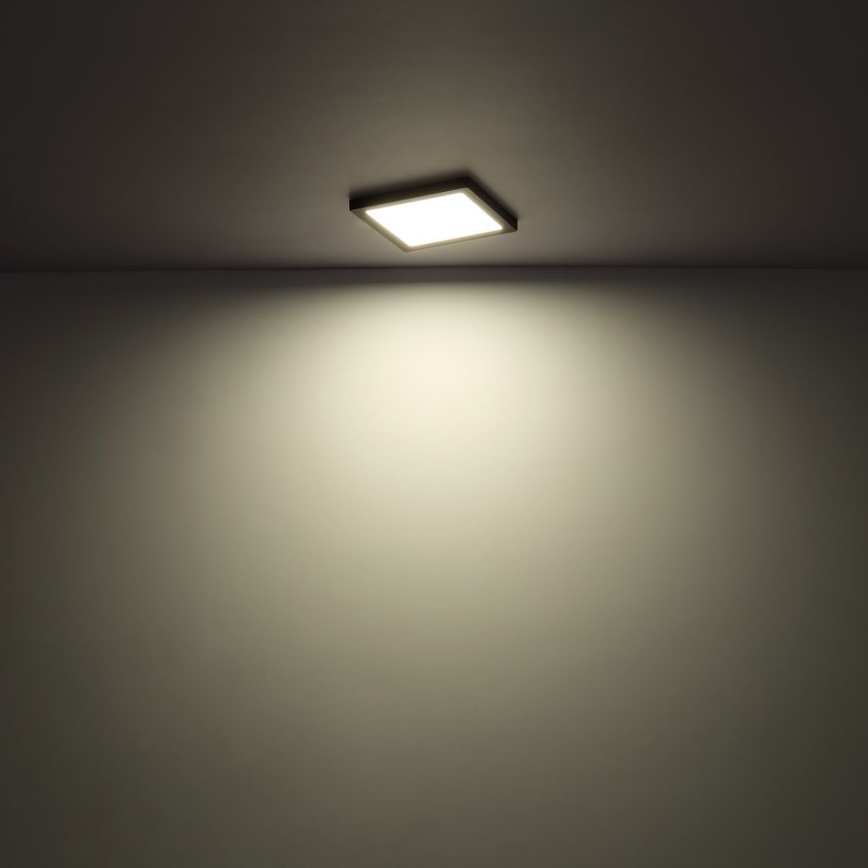 Globo - LED Stropní svítidlo LED/24W/230V 3000/4000/6500K bílá