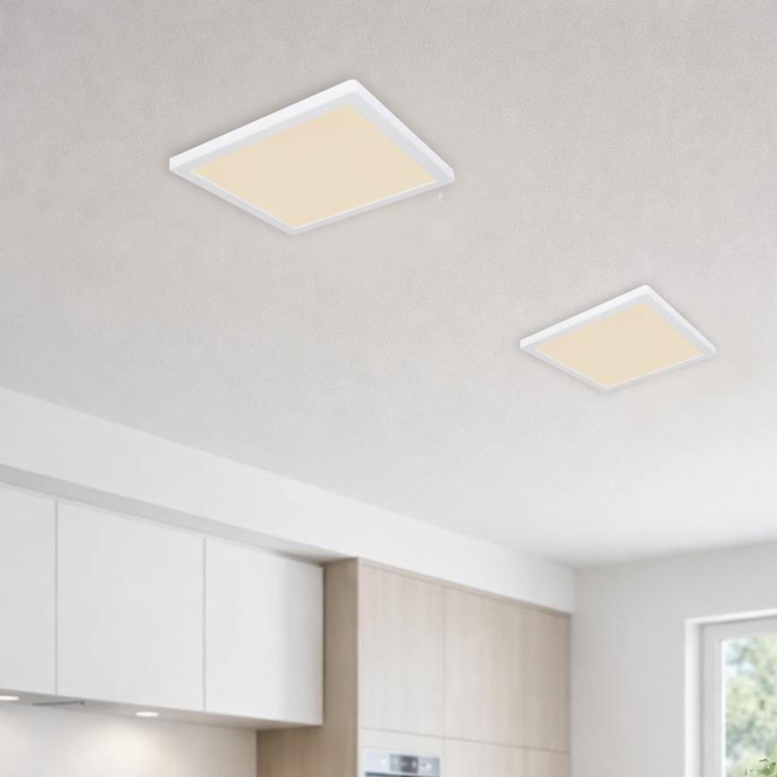 Globo - LED Stropní svítidlo LED/24W/230V 3000/4000/6500K bílá