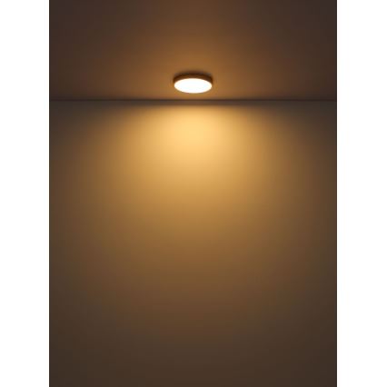 Globo - LED Stropní svítidlo LED/30W/230V pr. 45 cm