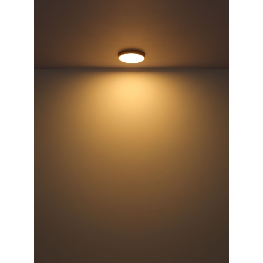 Globo - LED Stropní svítidlo LED/30W/230V pr. 45 cm